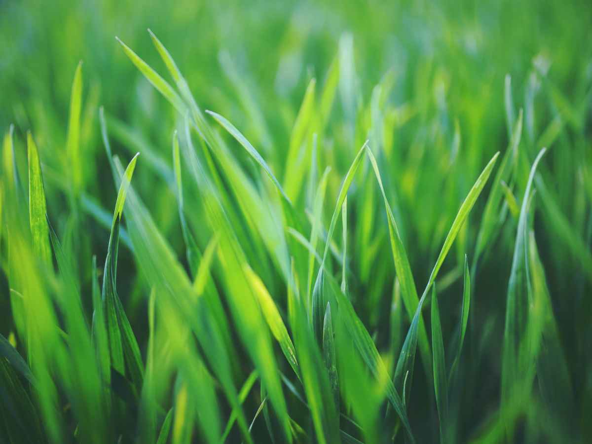 The Beatitudes of the&nbsp;Pastor